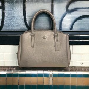 Sage Carryall-Metallic Platinum